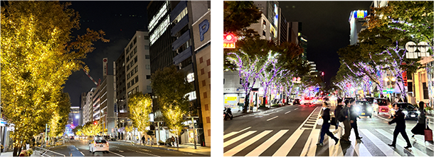 街路樹イルミネーション