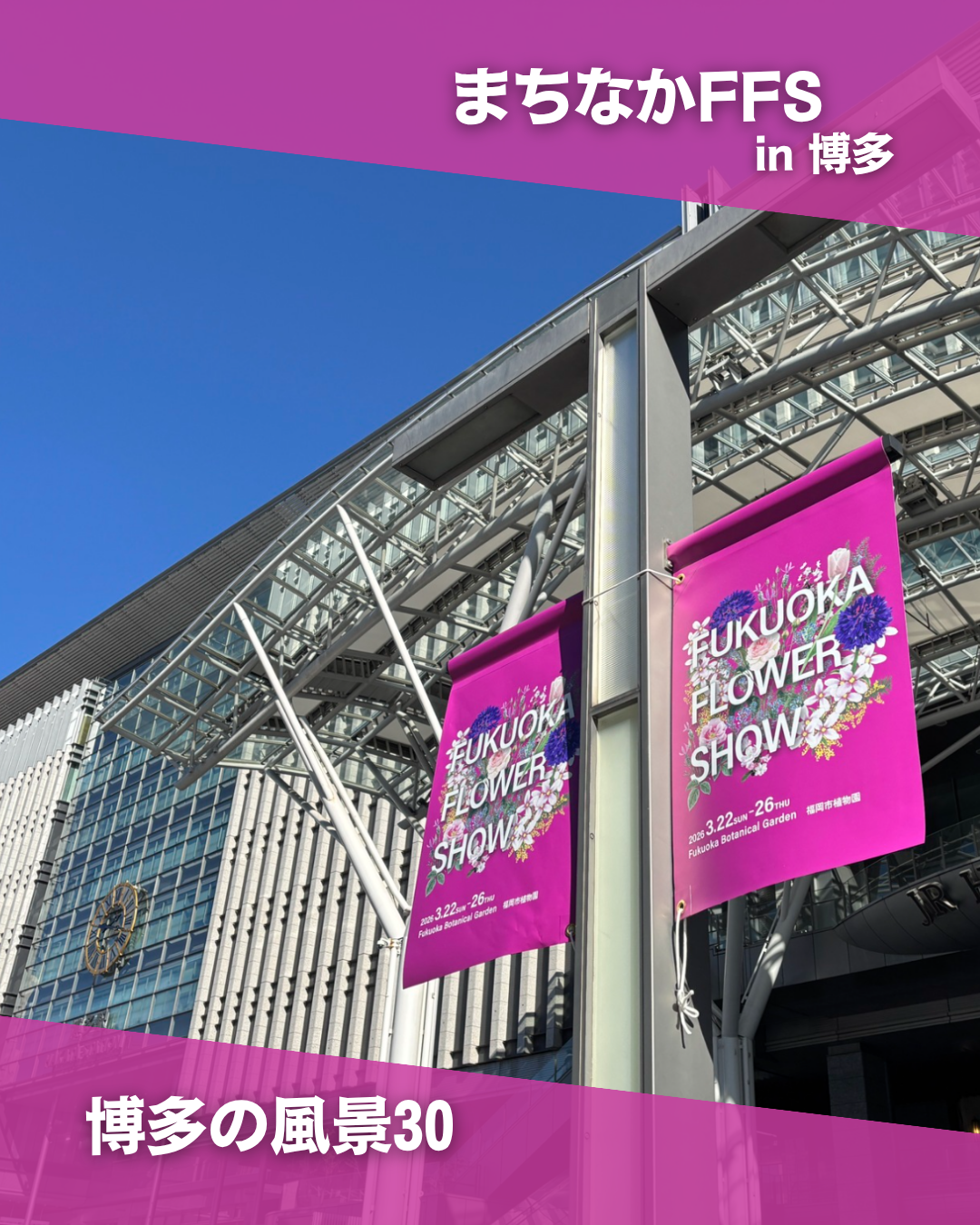 博多の風景】まちなか花装飾＆FFS2026 - 博多まちづくり推進協議会